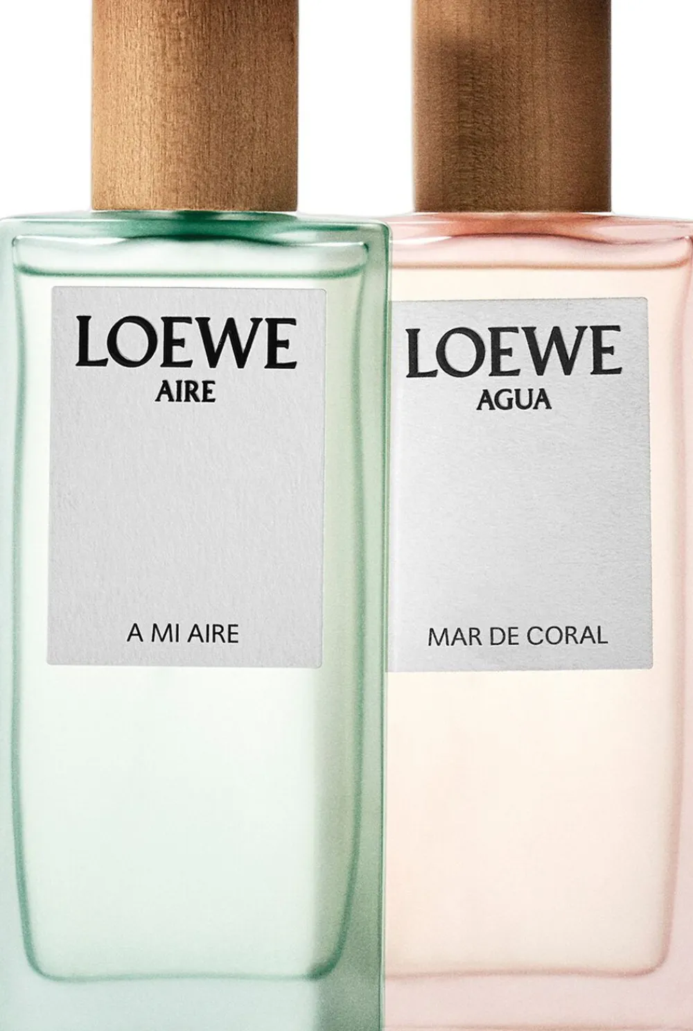 LOEWE Agua Mar de Coral Eau de Toilette>Loewe Perfumes Outlet