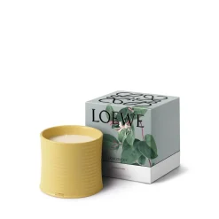 Loewe Perfumes LOEWE Honeysuckle Candle Hot