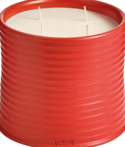Loewe Perfumes LOEWE Tomato Leaves Candle Best