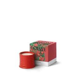 Loewe Perfumes LOEWE Tomato Leaves Candle Best