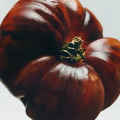 Loewe Perfumes LOEWE Tomato Leaves Large Soap Bar Hot