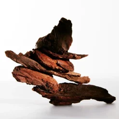 Loewe Perfumes LOEWE Un Paseo por Madrid Debod Eau de Parfum 100 ml Best