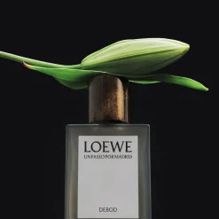 Loewe Perfumes LOEWE Un Paseo por Madrid Debod Eau de Parfum 100 ml Best