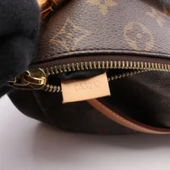 Dame Louis Vuitton Vintage Louis Vuitton Bumbag