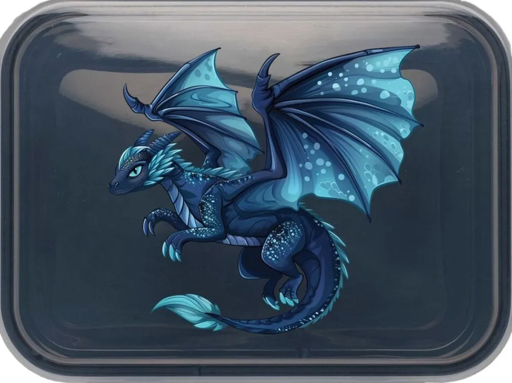 Børn Legetøj MADKASSE DRAGE TINKA COOL