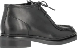 MAGNOLIA><noscript><img width=