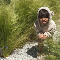 Mahi badekåbe><noscript><img width=