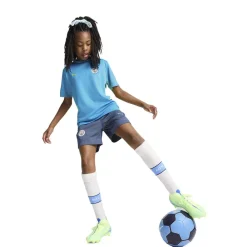 Puma Manchester City Shorts Blå New