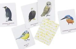 Match a pair of Birds>New Mags Outlet