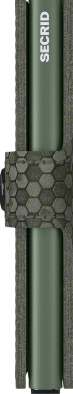 MHe-Green><noscript><img width=