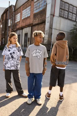 Mic><noscript><img width=