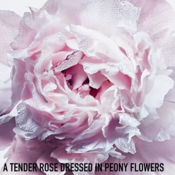 Miss Hair Mist Hair Mist - Scented Spray><noscript><img width=