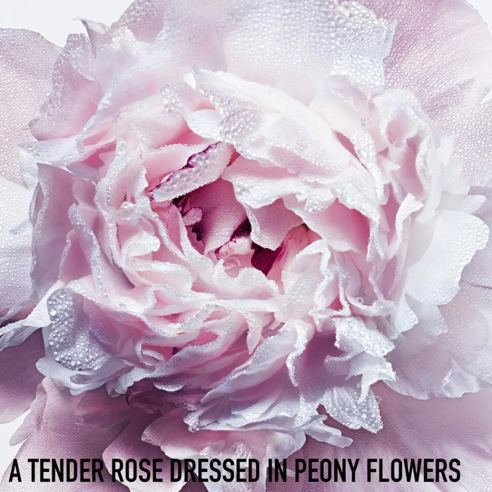 Miss Hair Mist Hair Mist - Scented Spray>DIOR Sale