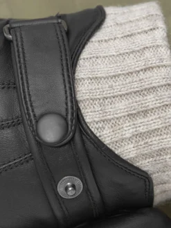 Handsker Ralph><noscript><img width=