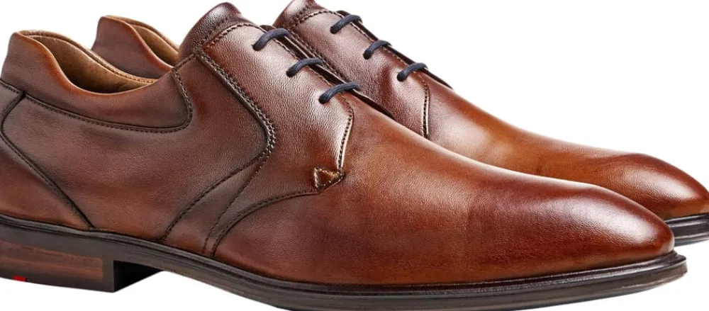 Lloyd MONTY Brown Sale