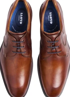 Lloyd MONTY Brown Sale