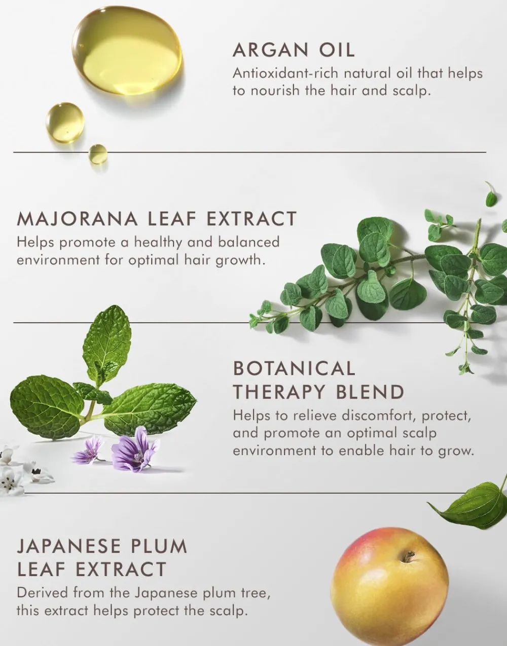 Revitalizing Scalp Tonic 100 ml.>Moroccanoil