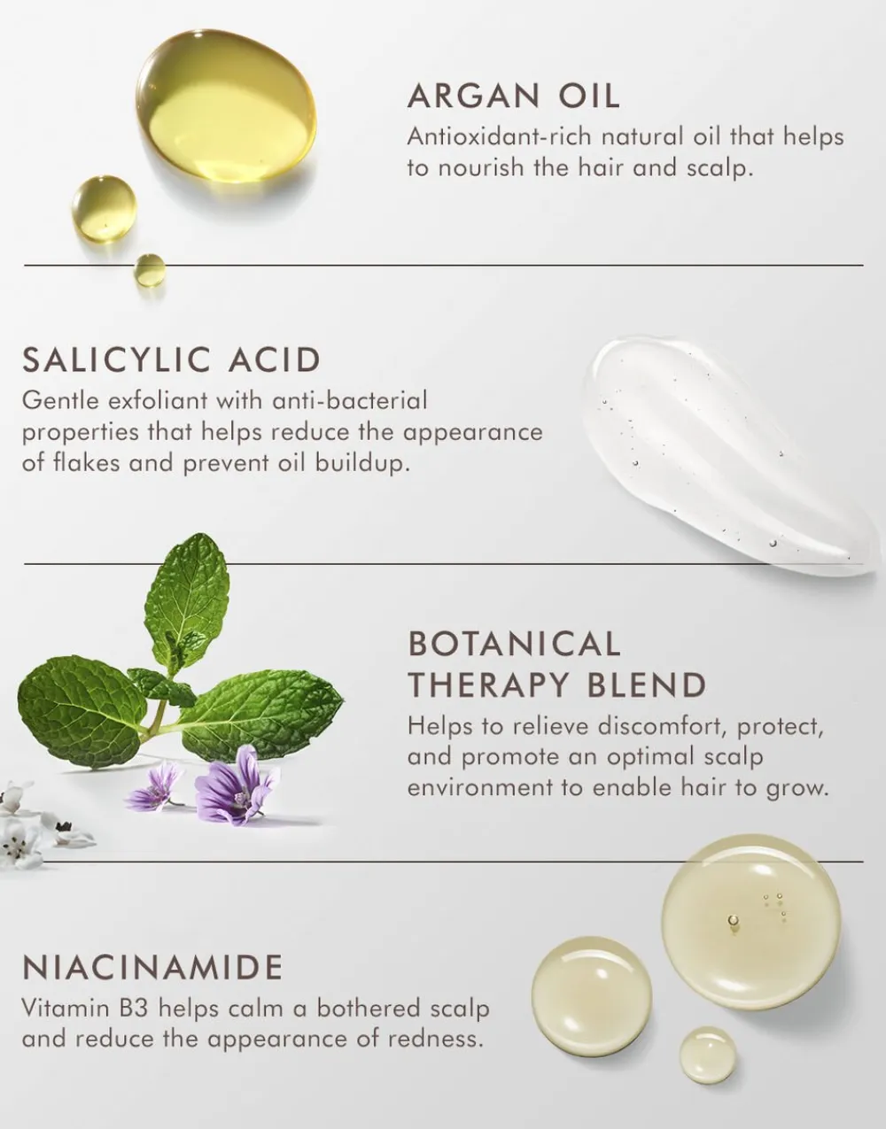 Scalp Shampoo 250 ml.>Moroccanoil Best