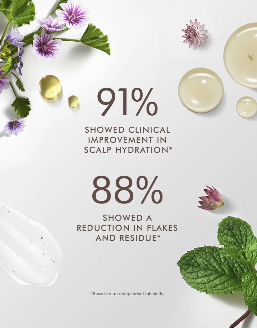 Scalp Shampoo 250 ml.>Moroccanoil Best