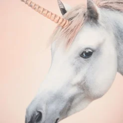 Mountoo><noscript><img width=