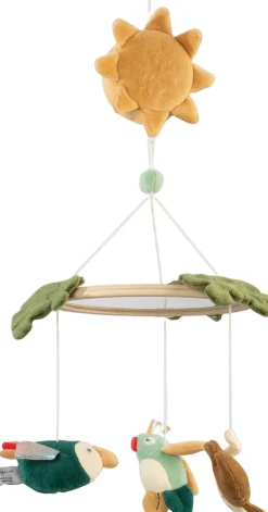 Musik- & spejluro, Safari><noscript><img width=