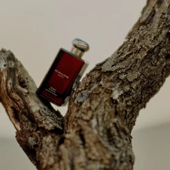 Myrrh & Tonka Cologne Intense><noscript><img width=