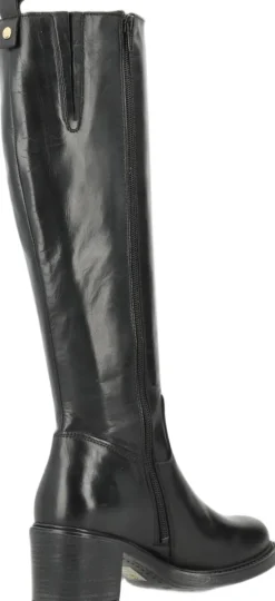 NEVADA><noscript><img width=