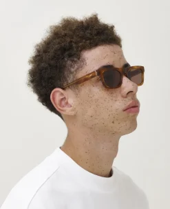 NEW DYLAN><noscript><img width=