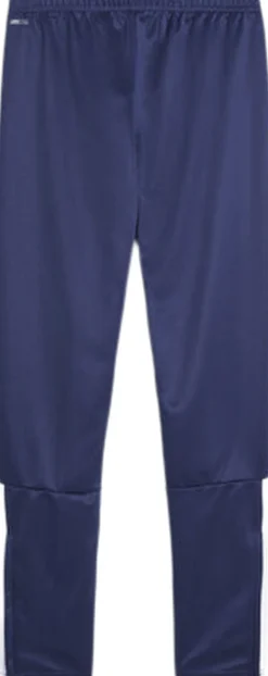 Puma Neymar Jr Instituto bukser Blå Best