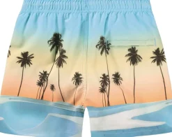 Niko><noscript><img width=