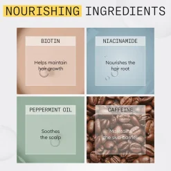 System 1 Loyalty Kit><noscript><img width=