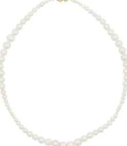 Dame Ragbag Studio No. 15032