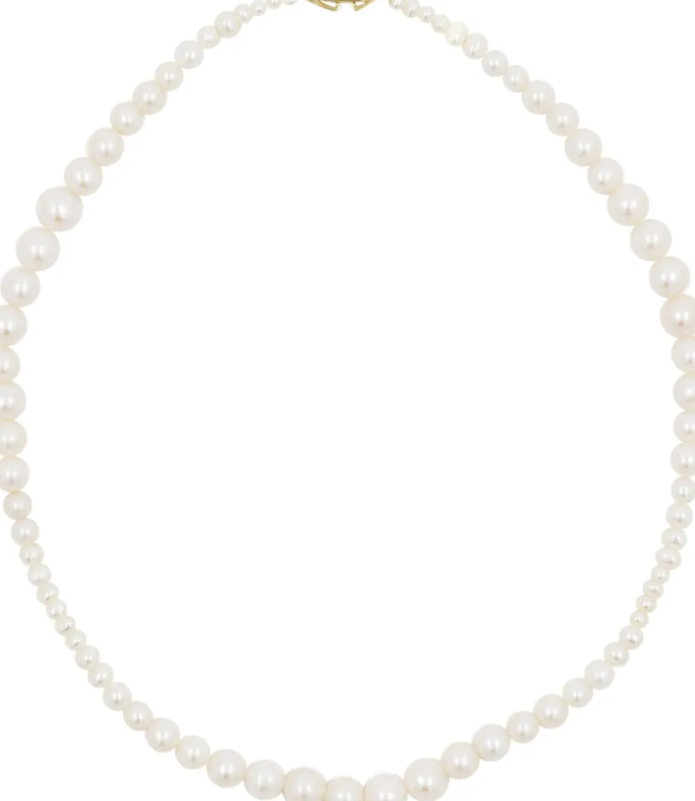 Dame Ragbag Studio No. 15032