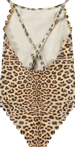 Noelle><noscript><img width=