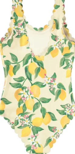 Noelle><noscript><img width=