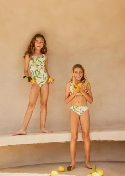 Noelle><noscript><img width=