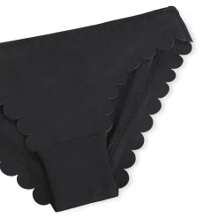 Nolina><noscript><img width=