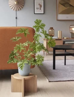 Hübsch Nomad Plant Stand Natural