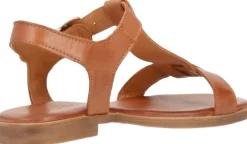 NORA><noscript><img width=