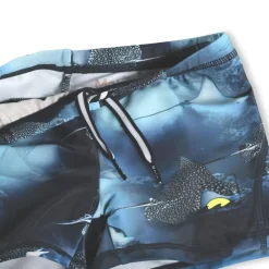 Norton><noscript><img width=