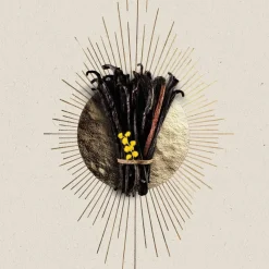 NOVAE VANILLA - EAU DE PARFUM 100ML>Atelier Des Ors Best