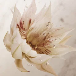 Rabanne Olympea Deodorant Spray 150 ml