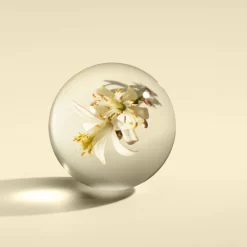 Orange & Bergamot Fine Liquid Hand Wash><noscript><img width=