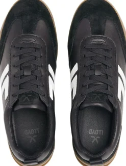 ORBIT 77><noscript><img width=