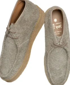 ORG. 142><noscript><img width=