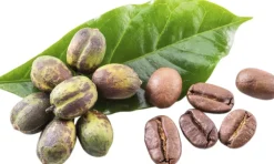 Less Is More Organic Phytonutrient Caffeine Infusion 100 ml. New