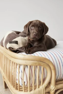 OYOY Living Design Otte Hundeseng - Lille