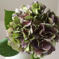 Pale Purple Hydrangea Flower>Botané Online