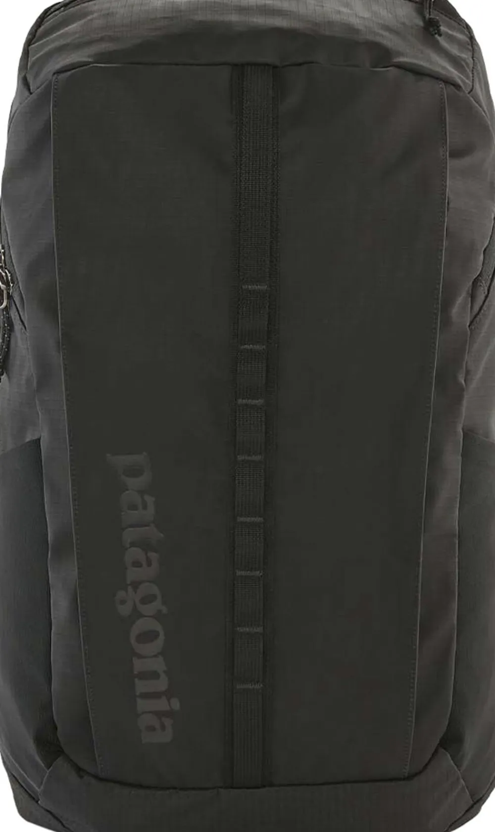 Black Hole Pack 25 ltr. rygsæk>Patagonia Sale