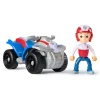 Børn Paw Patrol Basic Vehicle